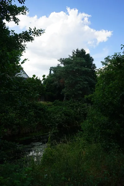 Rivière Wuhle Ses Environs Avec Une Végétation Magnifique Juin Berlin — Photo