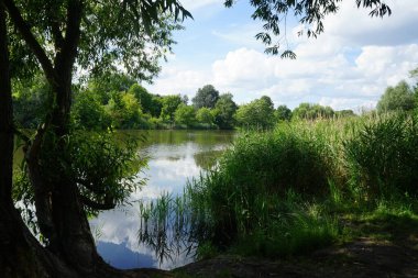 Güneşli bir yaz gününde 