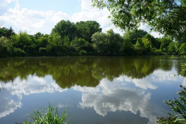 Güneşli bir yaz gününde 