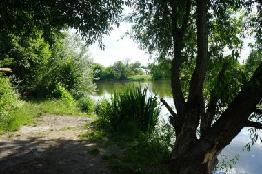 Güneşli bir yaz gününde 