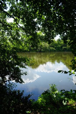 Güneşli bir yaz gününde 