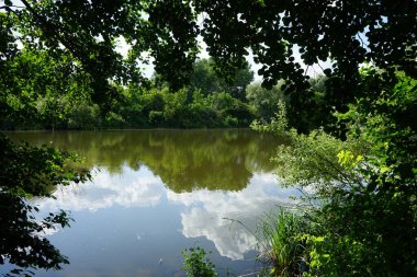Güneşli bir yaz gününde 