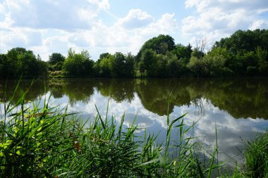 Güneşli bir yaz gününde 