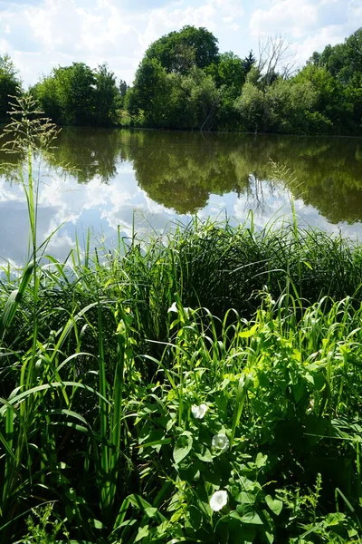 Güneşli bir yaz gününde 