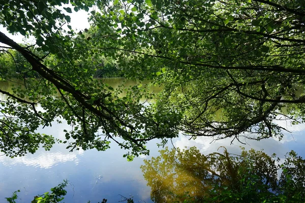 View Lake Wuhlesee Sunny Summer Day Kaulsdorf Berlin Germany — Stock Photo, Image