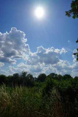 Güneşli bir yaz gününde 