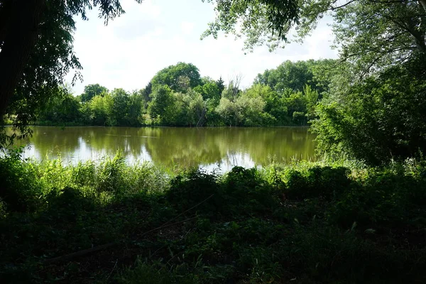 Vue Sur Lac Wuhlesee Par Une Journée Ensoleillée Été Kaulsdorf — Photo