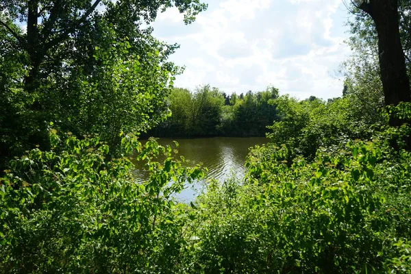 Vista Del Lago Wuhlesee Día Soleado Verano Kaulsdorf Berlín Alemania — Foto de Stock