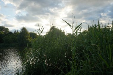 Temmuz 'da gün batımında Wuhlesee Gölü' nün muhteşem manzarası. Marzahn-Hellersdorf, Berlin, Almanya 