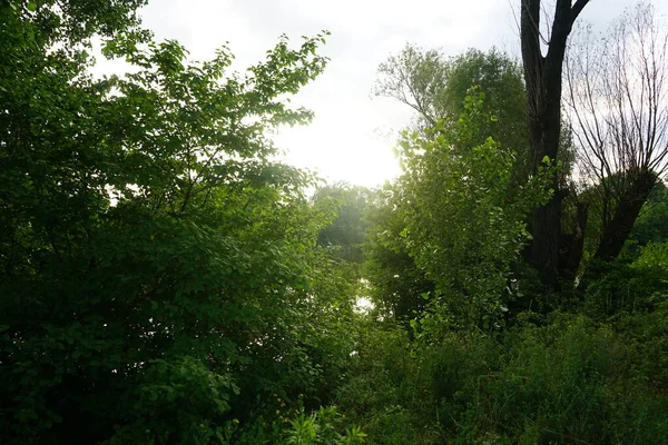 Herrliche Landschaft Mit Dem Wuhlesee Bei Sonnenuntergang Juli Marzahn Hellersdorf — Stockfoto