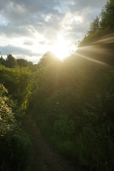 Prachtig Landschap Met Lake Wuhlesee Bij Zonsondergang Juli Marzahn Hellersdorf — Stockfoto