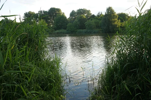 Herrliche Landschaft Mit Dem Wuhlesee Bei Sonnenuntergang Juli Marzahn Hellersdorf — Stockfoto