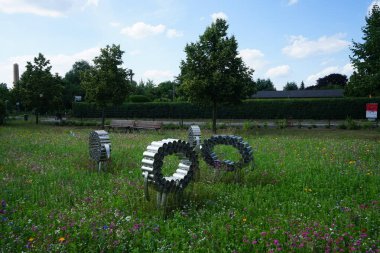 Berlinliler 'in dinlenme alanındaki çayır çiçekleriyle muhteşem bir çiçek açıyor. Berlin, Almanya 