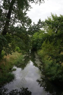 Temmuz 'da Wuhle Nehri ve çevresindeki güzel bitki örtüsü manzarası. Berlin, Almanya  
