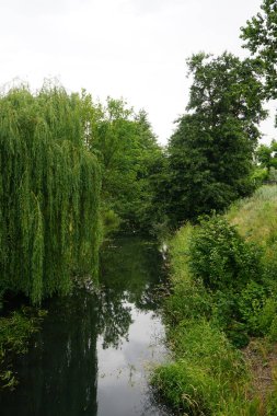 Temmuz 'da Wuhle Nehri ve çevresindeki güzel bitki örtüsü manzarası. Berlin, Almanya  