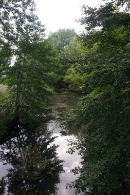 Temmuz 'da Wuhle Nehri ve çevresindeki güzel bitki örtüsü manzarası. Berlin, Almanya  