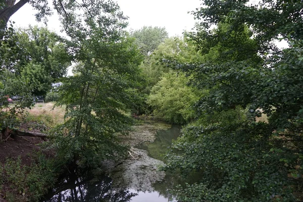 Utsikt Över Floden Wuhle Och Dess Omgivningar Med Vacker Vegetation — Stockfoto