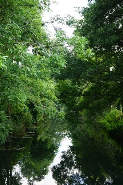 Vue Sur Rivière Wuhle Ses Environs Avec Une Belle Végétation — Photo