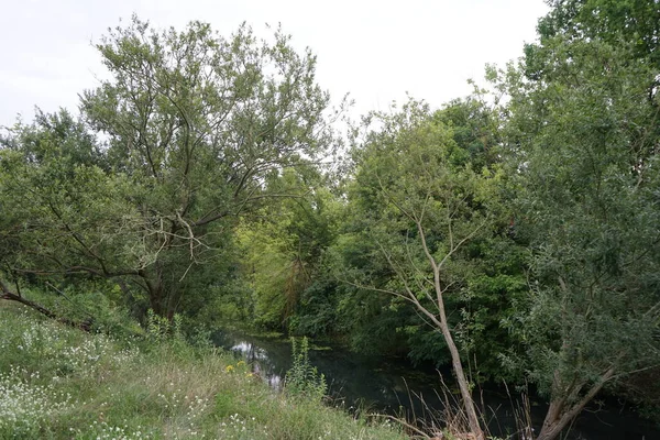 Vista Del Río Wuhle Sus Alrededores Con Hermosa Vegetación Julio — Foto de Stock