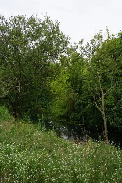 Vista Rio Wuhle Seus Arredores Com Bela Vegetação Julho Berlim — Fotografia de Stock