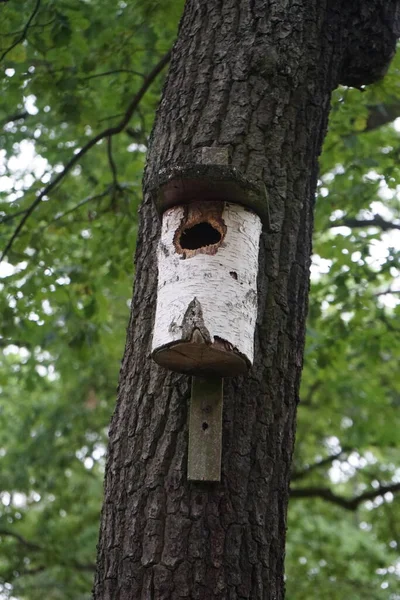 Vogelhaus Für Vögel Auf Einem Baum Einem Erholungsgebiet Juli Berlin — Stockfoto