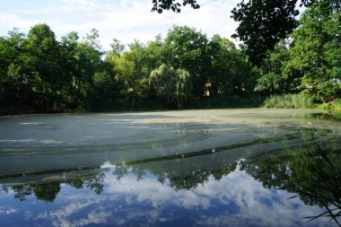 Güneşli bir Ağustos gününde parktaki 