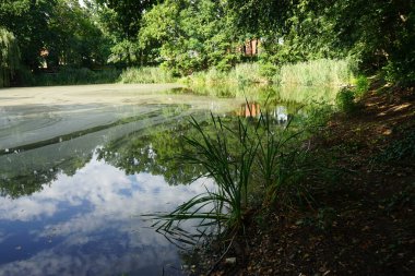 Güneşli bir Ağustos gününde parktaki 