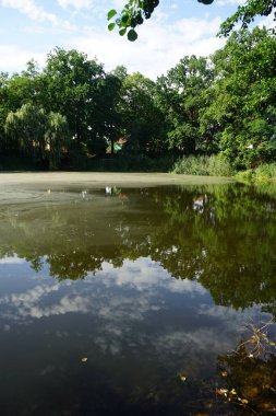 Güneşli bir Ağustos gününde parktaki 