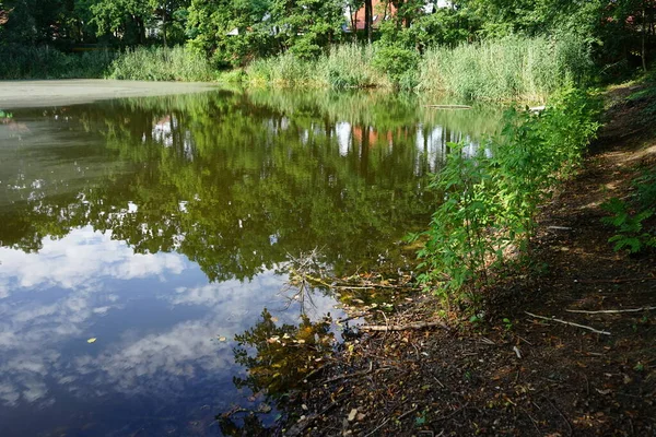 Güneşli bir Ağustos gününde parktaki 