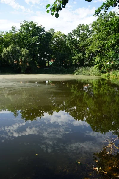 Güneşli bir Ağustos gününde parktaki 