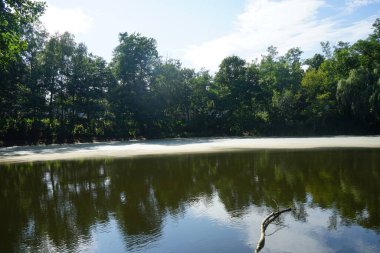 Güneşli bir Ağustos gününde parktaki 