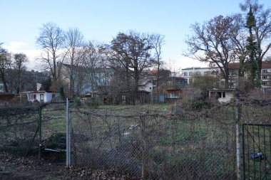 Şubat ayında Berlin 'deki terk edilmiş bahçe arazilerinin manzarası. Almanya, Avrupa.