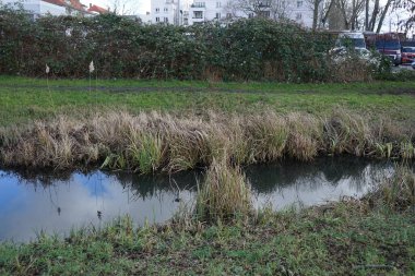 Şubat ayında dar Alte Erpe Nehri manzarası. Erpe Nehri, Almanya 'nın Brandenburg ve Berlin eyaletlerinde yer alan bir nehirdir..
