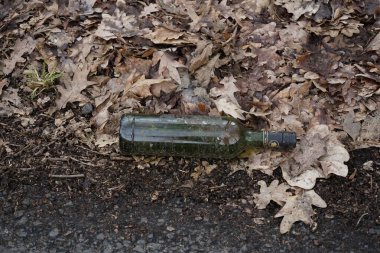 Yere düşmüş yaprakların arasında duran yeşil cam şişeler. Berlin, Almanya.