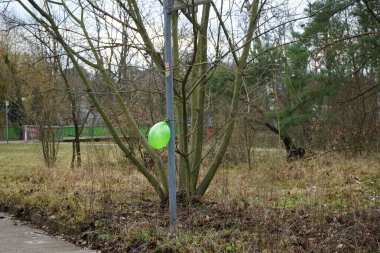 Mart ayında eğlence alanındaki metal bir direğe asılı yeşil şişmiş bir balon. Berlin, Almanya. 