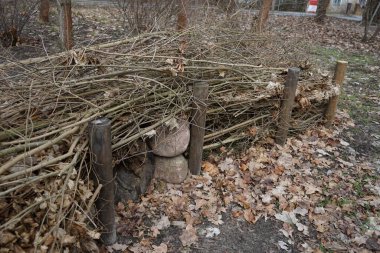 Böcek ve hayvanlar için ölü çit, Berlinliler 'in dinlenme alanındaki Wuhle Nehri civarında yer almaktadır. Ölü çit, kesilmiş dallar, fidanlar ve yapraklardan yapılmış bir bariyerdir. Berlin, Almanya.