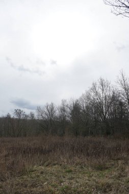 Mart 'ta Wuhletal Manzarası' nın manzarası. Marzahn-Hellersdorf, Berlin, Almanya, Avrupa.