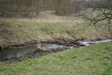 Mart ayında Wuhletal 'daki Wuhle Nehri manzaralı Landschaftspark. Wuhle, Spree 'ye küçük bir sağ yaka haracı. Berlin, Almanya, Avrupa.