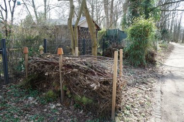 Böcekler ve hayvanlar için ölü çit Berlinliler 'in dinlenme alanında yer almaktadır. Ölü bir çit, kesilmiş dallar, fidanlar ve yapraklardan yapılmış bir bariyerdir. Berlin, Almanya, Avrupa.