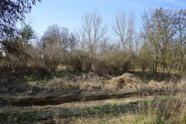 Mart ayında Wuhle Nehri ile güzel bir bahar manzarası. Wuhle, Spree 'ye küçük bir sağ yaka haracı. Berlin, Almanya, Avrupa.