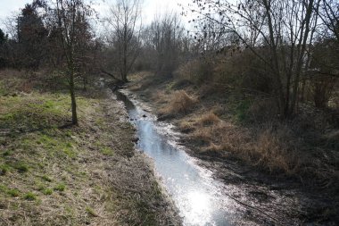 Mart ayında Wuhle Nehri ile güzel bir bahar manzarası. Wuhle, Spree 'ye küçük bir sağ yaka haracı. Berlin, Almanya, Avrupa.