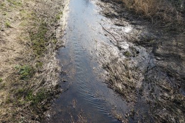 Mart ayında Wuhle Nehri ile güzel bir bahar manzarası. Wuhle, Spree 'ye küçük bir sağ yaka haracı. Berlin, Almanya, Avrupa.