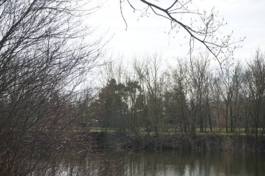 Mart ayındaki Wuhlebecken Gölü manzarası bahar bitkileriyle çevrili. Wuhlebecken, Marzahn-Hellersdorf, Berlin, Almanya ve Avrupa 'da bulunan bir göldür..