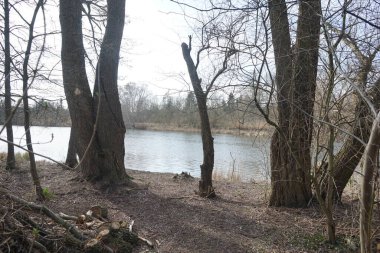 Mart ayındaki Wuhlebecken Gölü manzarası bahar bitkileriyle çevrili. Wuhlebecken, Marzahn-Hellersdorf, Berlin, Almanya ve Avrupa 'da bulunan bir göldür..