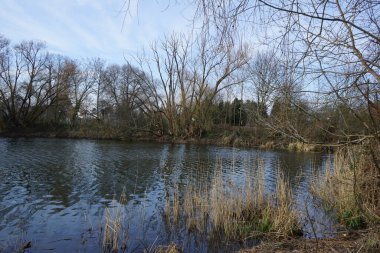 Mart ayındaki Wuhlebecken Gölü manzarası bahar bitkileriyle çevrili. Wuhlebecken, Marzahn-Hellersdorf, Berlin, Almanya ve Avrupa 'da bulunan bir göldür..