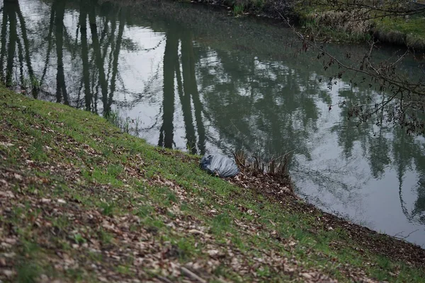 Mart ayında Wuhle nehrinin kıyısında yaprakları dökülmüş bir plastik torba uzanıyor. Berlin, Almanya.