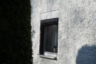 Bir evin penceresinden dışarı bakan siyah ve beyaz bir kedi görülebilir. Kedi, Felis catus, evcil kedi, ya da ev kedisi, küçük evcilleştirilmiş etobur bir memelidir. Berlin, Almanya, Avrupa.