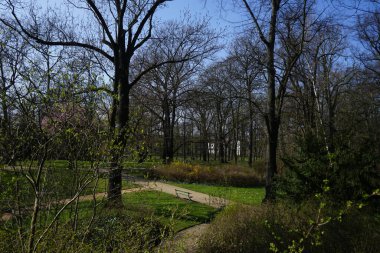 Nisan ayında Schlosspark Biesdorf 'un 19. yüzyıl Biesdorf Sarayı' nın veya Schloss Biesdorf 'un bahçesinde yürüyüş yolları bulunan orman manzarası. Berlin, Almanya.