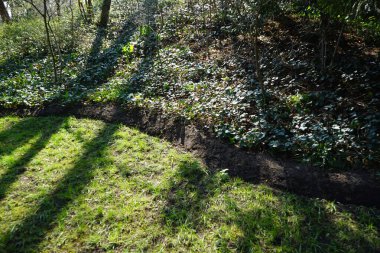 Nisan ayında Schlosspark Biesdorf 'un 19. yüzyıl Biesdorf Sarayı' nın veya Schloss Biesdorf 'un bahçesinde yürüyüş yolları bulunan orman manzarası. Berlin, Almanya.