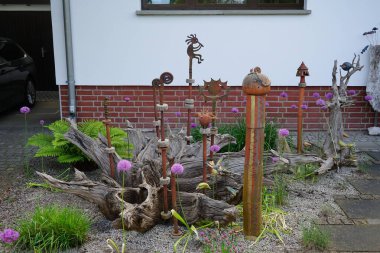 Çeşitli unsurlara sahip dekoratif bahçe tasarımı: mor Allison çiçekleri, eğrelti otları ve sesleria otları, paslı metal figürler, örneğin, dans eden bir müzisyen ve sanatsal olarak hazırlanmış seramik kazıklar. Merkezi element büyük bir ağaç köküdür. Berlin, Almanya.